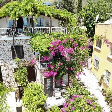 Lemon Villa Hotel - Adult Only Alanya Exterior photo