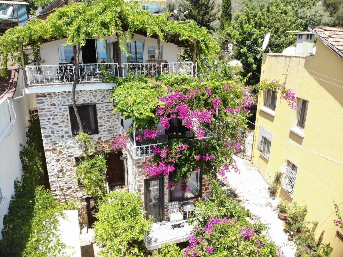 Lemon Villa Hotel - Adult Only Alanya Exterior photo