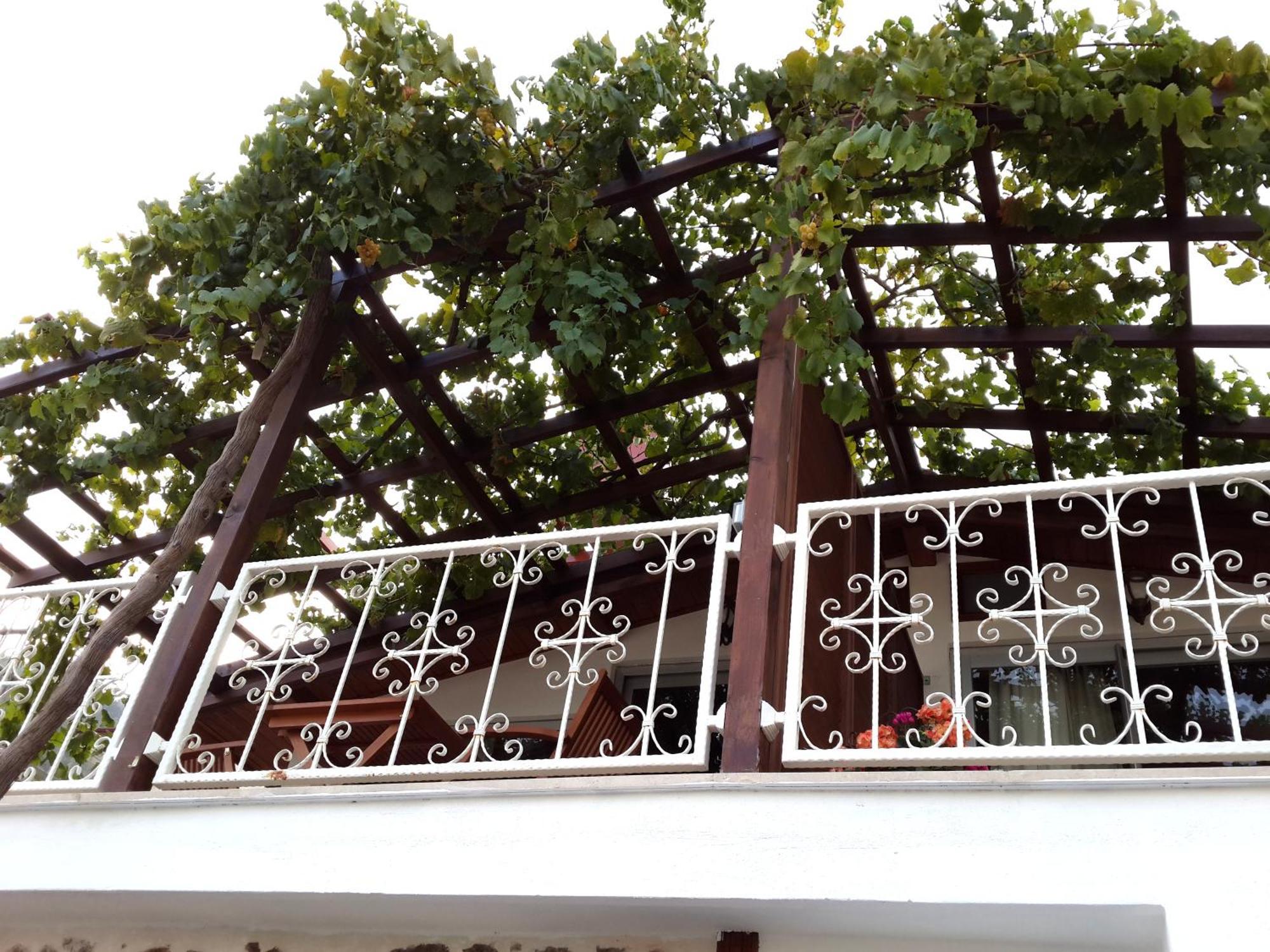 Lemon Villa Hotel - Adult Only Alanya Exterior photo